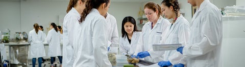 group of students in lab coats conducting a group experiment in lab