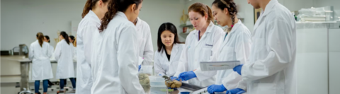 Kinesiology students doing a lab project