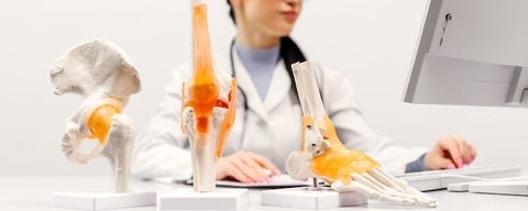 A health care professional on a computer at their desk with anatomy models on it