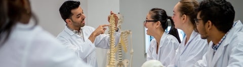 Students in a lab looking at a human spine model