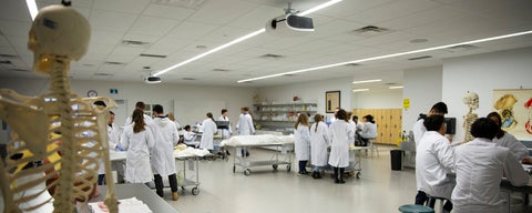 students in kin lab