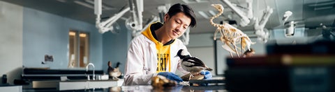 student in a lab coat looking at an experiment