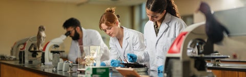 University of Waterloo students in lab coats work in a dissection lab
