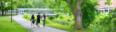 Three students walking on a path outside. Lush green grass and trees are all around them.
