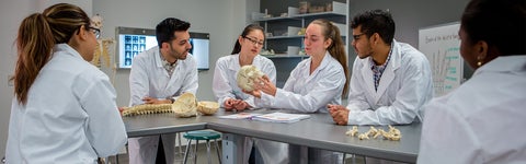 Students in white lab coats look on as one holds a skull at the University of Waterloo