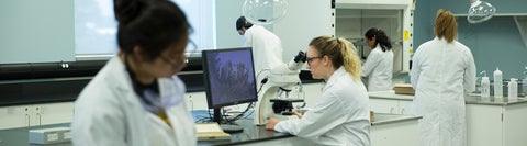 students in a lab conducting experiments