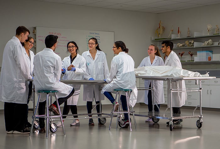 Students sitting in a lab