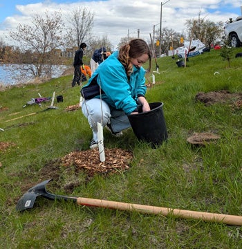 Abbie planting trees