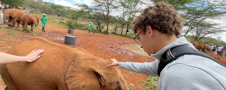Sebastion petting an elephant