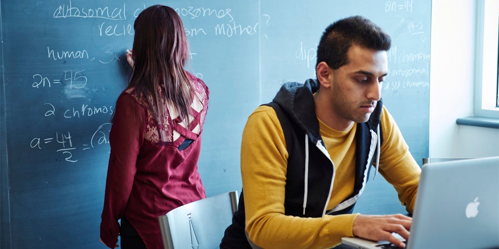 Student on blackboard studying chromosomes.