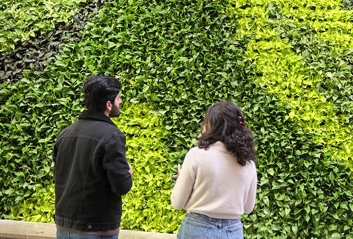 Two students standing infront of the living wall, a wall covered in live plants