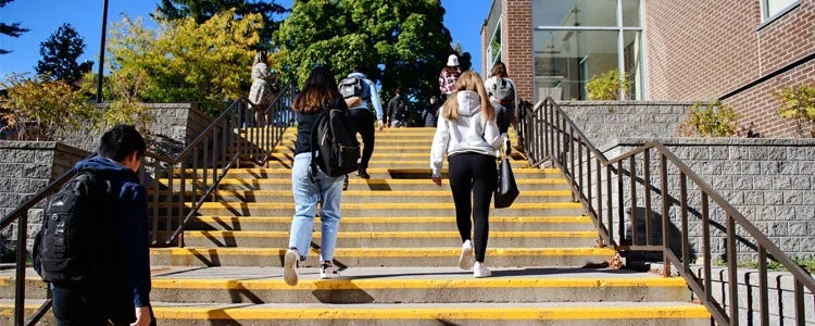 Several students walking up stairs on campus.