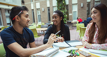 Group of Environment students studying in the Environment 1 Courtyard - a popular study spot on campus.