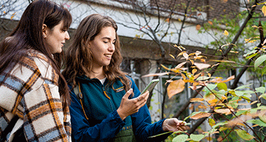 Two Environment students are taking a photo of a tree using their smartphones.