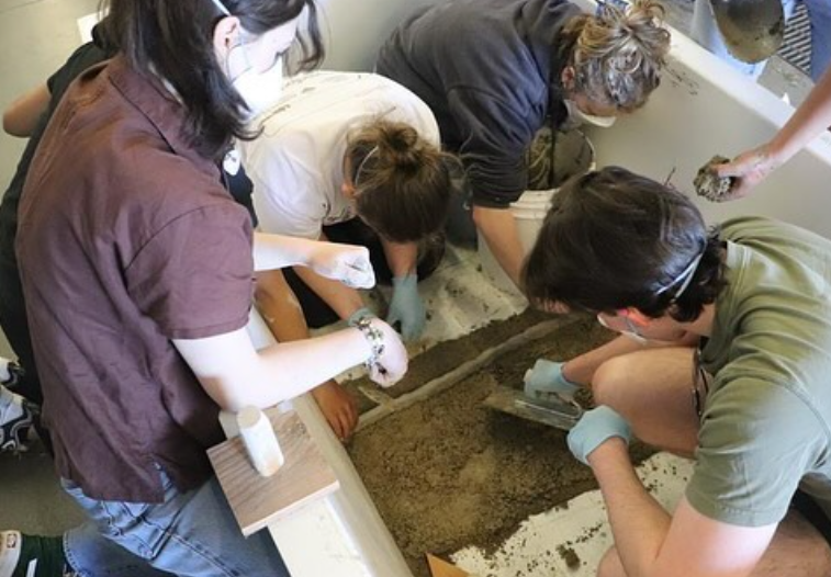 Engineering students wear masks as they pick through dirt