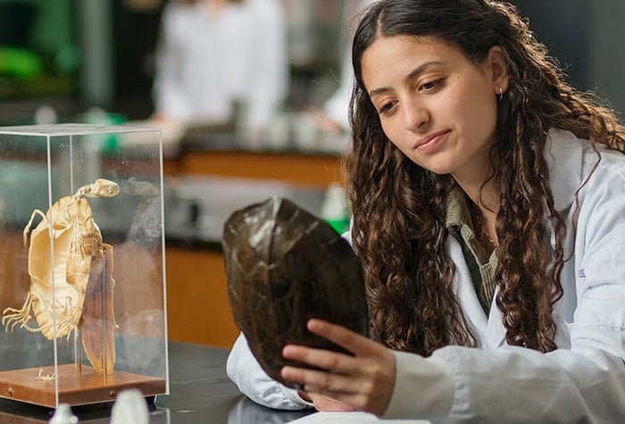 Student in white lab coat look at turtle shell at the University of Waterloo