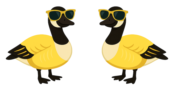 Two illustrated geese standing side-by-side