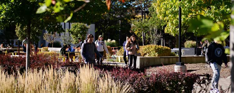 Students walking around campus