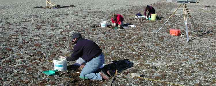 An example of environment intiatives