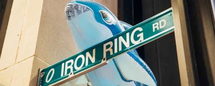 A street sign that says "Iron Ring rd"