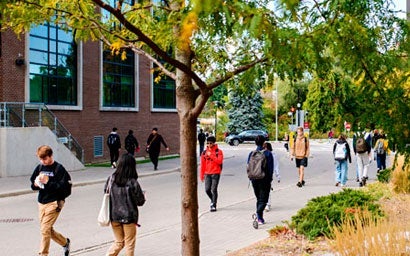 Students walking across campus