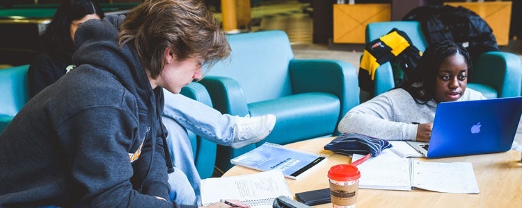 Students studying together.