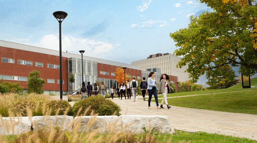 Students walking along a path with campus buildings behind them