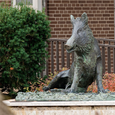 Statue of Porcellino the pig 