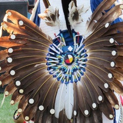 Regalia feathers