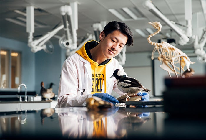 student with a bird in a lab