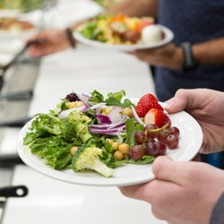 2 hands holding a plate of salad