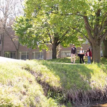 Three students walking outside Ron Eydt Village (REV). There are trees linining the path they are walking on.