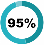 pie chart showing 95%