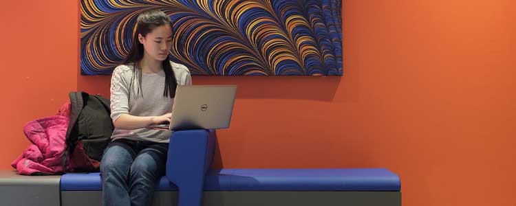 Student sitting on a bench and typing on a laptop