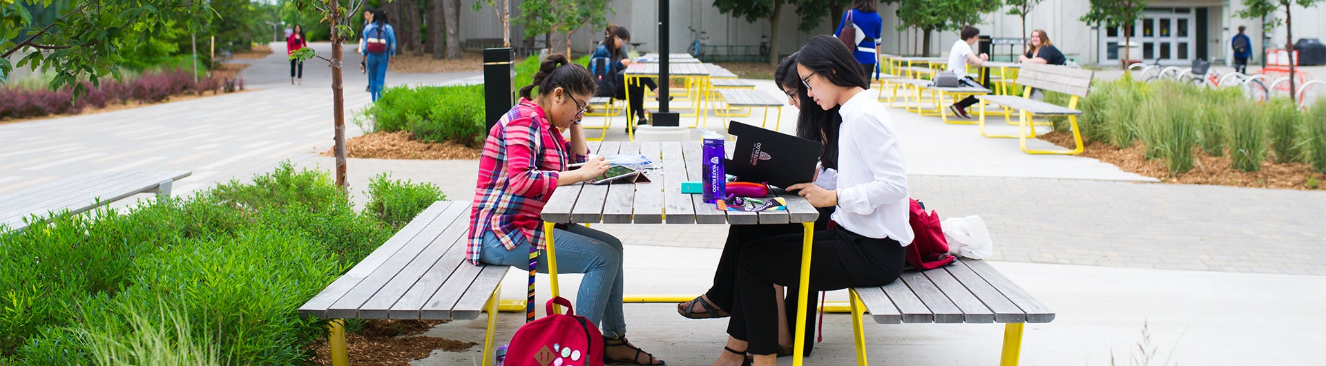 Group of students studying outside