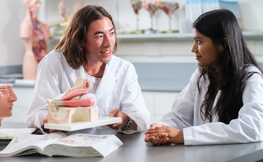 Two students in lab coats with various medical models around them