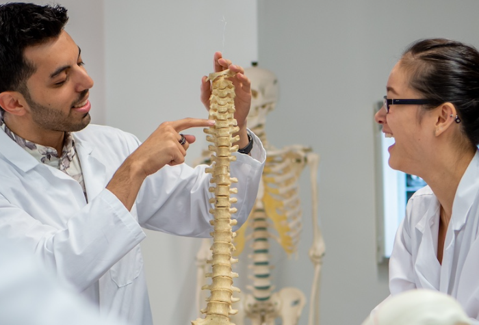 Students looking at a spine model in a lab