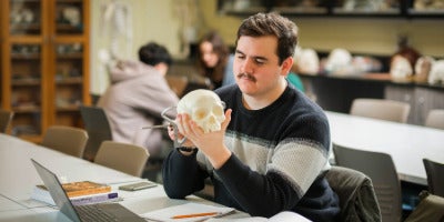 Arts student examining a human skull in an Anthropology lab