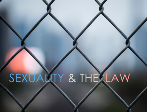 Chain link fence and text : Sexuality and the Law"