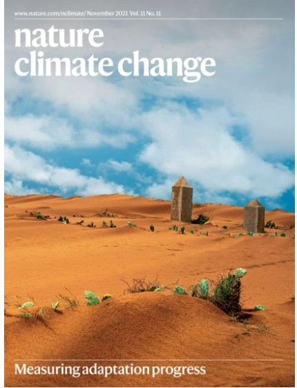 Nature climate change journal cover. Desert landscape and a blue cloudy sky.