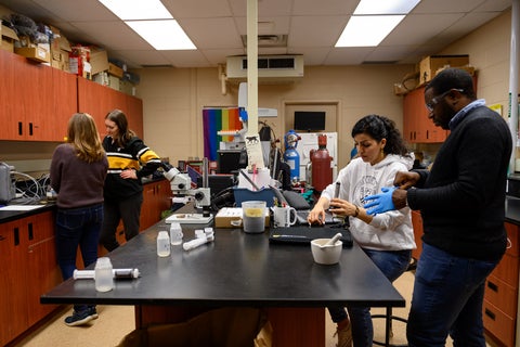 Maria Strack and graduate students working in the lab