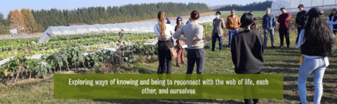 A group of students standing in a circle beside a field