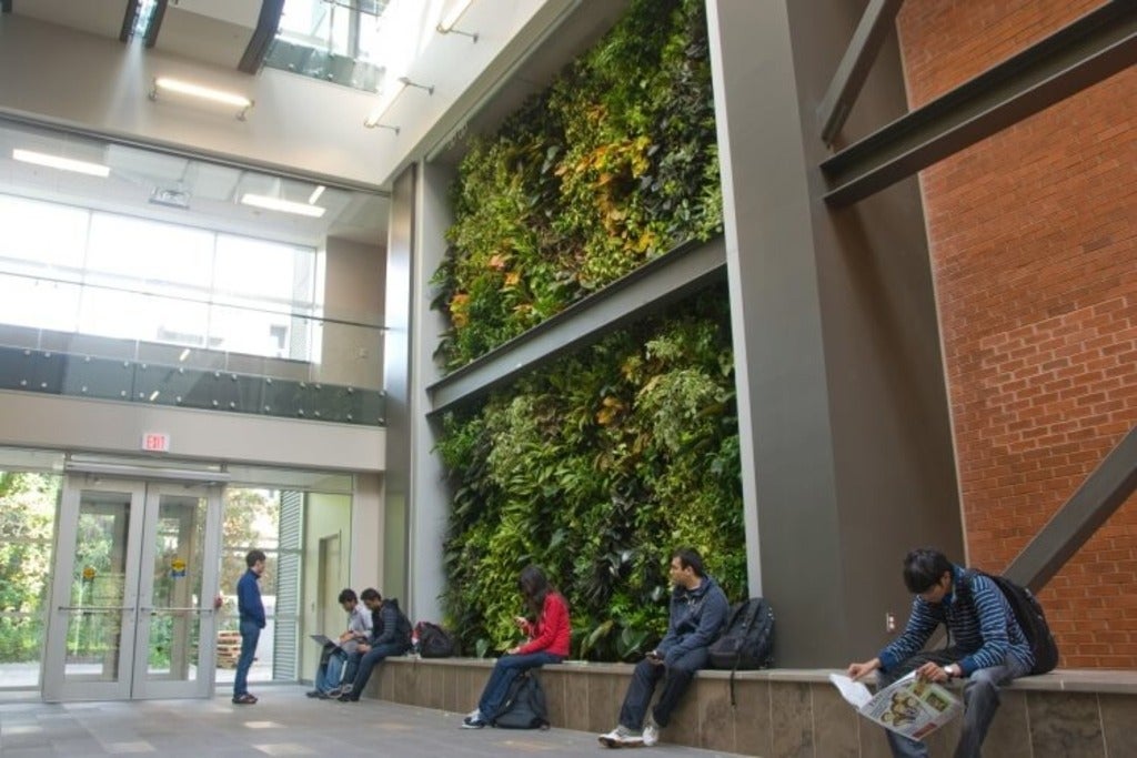 Environment 3 Atrium living wall