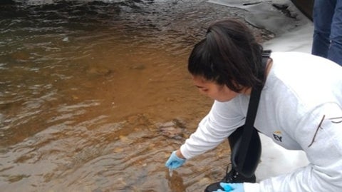 A student in lab gear collecting a water sample from Laurel Creek