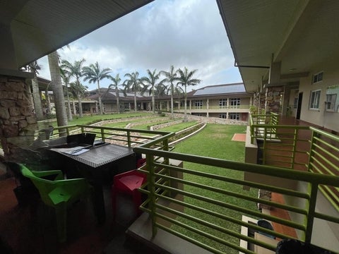 Open sky courtyard with palm trees