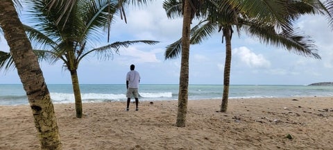 man standing on sand surrounded by palm trees facing to the ocean