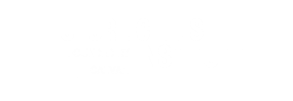 Future Cities Institute Logo