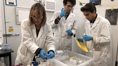 Marianna Van der Grindt and two undergraduate students preparing samples in the lab.