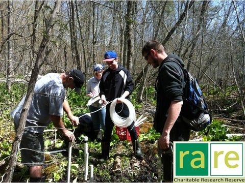 Four students performing field work in a wooded area, using equipment to measure or evaluate the environment, with a logo of "rare charitable research reserve" in the corner.