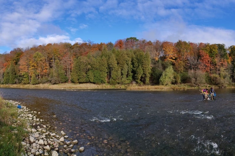 Central Grand River in fall.